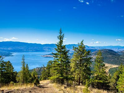 View from Blue Grouse Mountain