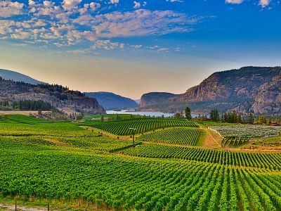 Okanagan Falls area